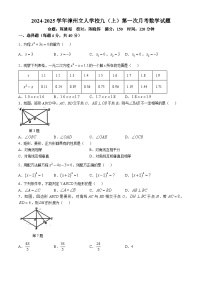 福建省漳州立人学校2024-2025学年九年级上学期第一次月考数学试卷(无答案)