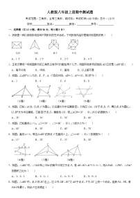 2024-2025学年人教版八年级数学上册期中测试题