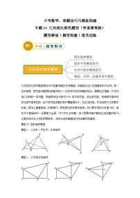 中考数学：答题技巧与模板构建 专题13 几何类比探究题型（学案原卷版）