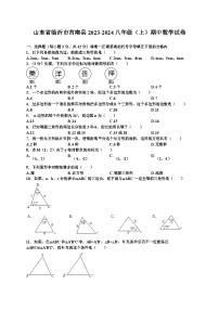 山东省临沂市莒南县2023-2024学年八年级上期中数学试卷及答案