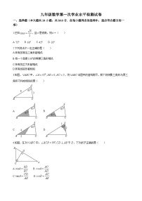 山东省聊城市茌平区实验中学2024-—2025学年上学期九年级10月月考数学试题(无答案)