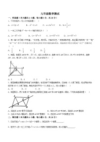 江西省九江市浔阳区同文中学2024-2025学年九年级上学期10月月考数学试题(无答案)