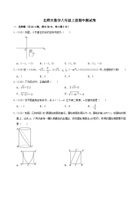 广东省普宁市第一中学2024--2025学年八年级上学期期中测试数学卷