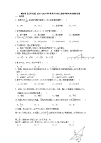 2024—2025学年北师大版九年级上册数学期末考试模拟试卷