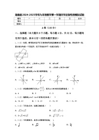 湖南省2024-2025学年九年级数学第一学期开学达标检测模拟试题【含答案】