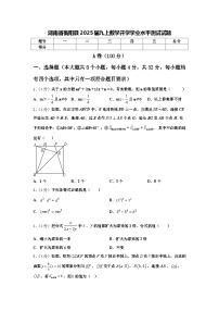 湖南省衡阳县2025届九上数学开学学业水平测试试题【含答案】