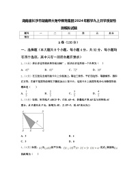 湖南省长沙市湖南师大附中教育集团2024年数学九上开学质量检测模拟试题【含答案】