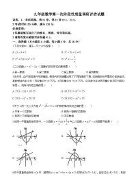 江西省南昌市青山湖学校2024-2025学年九年级上学期第一次月考数学试卷(无答案)