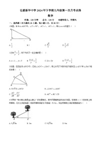 湖南省岳阳市弘毅新华中学2024-2025学年九年级上学期10月月考数学试题