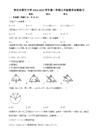 江苏省常州市翠竹中学2024-2025学年上学期九年级数学月考试卷(无答案)