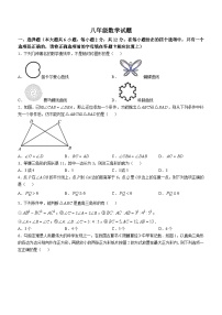 江苏省南京市第二十九中学2024--2025学年上学期八年级10月月考数学试题(无答案)