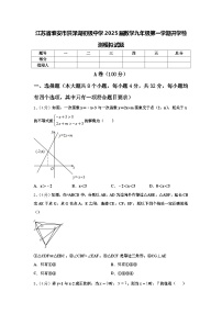 江苏省淮安市洪泽湖初级中学2025届数学九年级第一学期开学检测模拟试题【含答案】