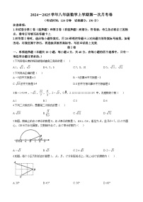 2024-2025学年四川省达州市渠县八年级（上）10月月考数学试题(无答案)