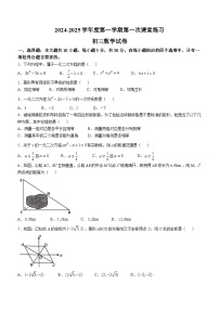 2024-2025学年广东省茂名市九年级（上）第一次月考数学试卷(无答案)