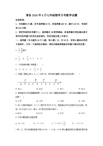 2024-—2025学年山东省菏泽市曹县七年级（上）10月月考数学试题