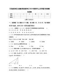 江苏省苏州工业园区青剑湖学校2024年数学九上开学复习检测模拟试题【含答案】