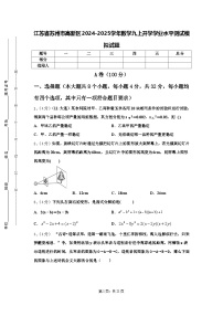 江苏省苏州市高新区2024-2025学年数学九上开学学业水平测试模拟试题【含答案】