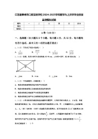 江苏省泰州市口岸实验学校2024-2025学年数学九上开学学业质量监测模拟试题【含答案】