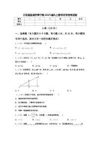 江苏省盐城市阜宁县2025届九上数学开学统考试题【含答案】