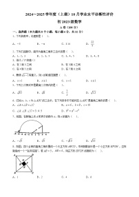 四川省成都市玉林中学2024-2025学年八年级上学期10月月考数学试题(无答案)
