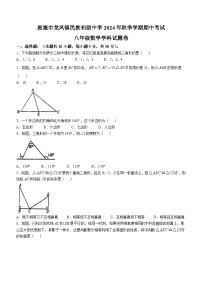 湖北省恩施土家族苗族自治州恩施市龙凤镇民族初级中学2024-2025学年八年级上学期期中考试数学试题(无答案)