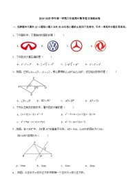 2024-2025学年人教版上 册八年级期中数学复习训练试卷