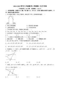 广东省湛江市雷州市雷州市第八中学2024-2025学年八年级上学期10月月考数学试题(无答案)