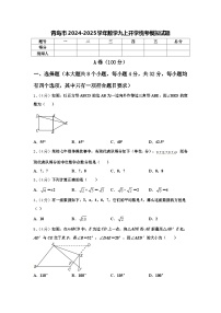 青岛市2024-2025学年数学九上开学统考模拟试题【含答案】