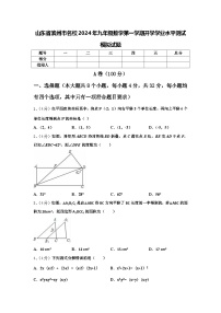 山东省滨州市名校2024年九年级数学第一学期开学学业水平测试模拟试题【含答案】