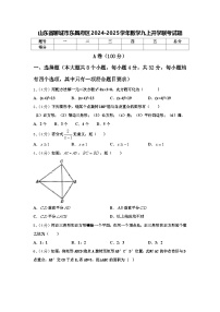 山东省聊城市东昌府区2024-2025学年数学九上开学联考试题【含答案】