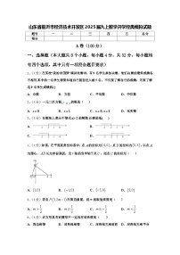 山东省临沂市经济技术开发区2025届九上数学开学经典模拟试题【含答案】