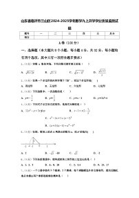 山东省临沂市兰山区2024-2025学年数学九上开学学业质量监测试题【含答案】