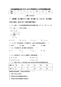 山东省威海乳山市2024-2025学年数学九上开学检测模拟试题【含答案】