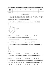 山东省威海市2024年数学九年级第一学期开学质量检测模拟试题【含答案】