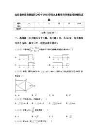 山东省枣庄市薛城区2024-2025学年九上数学开学质量检测模拟试题【含答案】