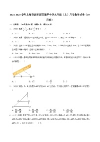 上海市浦东新区建平中学2024-2025学年九年级上学期10月月考数学试卷