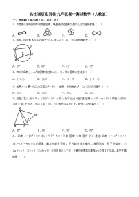 吉林省2024-2025学年九年级数学上学期期中测试名校调研系列试卷（省命题E）