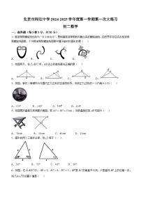 北京市师达中学2024-2025学年上学期第一次月考八年级数学试题(无答案)