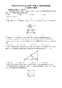 浙江省杭州市西湖区文华中学2024—-2025学年九年级上学期10月月考数学试卷(无答案)(02)