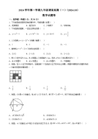 上海外国语大学秀洲外国语学校2024--2025学年九年级上学期第一次月考数学试卷(无答案)