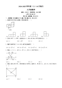 四川省成都市七中育才学校2024-2025学年九年级上学期10月月考数学试卷(无答案)