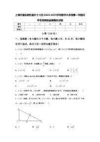 上海市浦东新区南片十六校2024-2025学年数学九年级第一学期开学质量跟踪监视模拟试题【含答案】