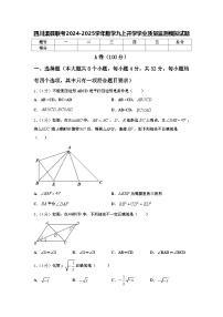 四川渠县联考2024-2025学年数学九上开学学业质量监测模拟试题【含答案】