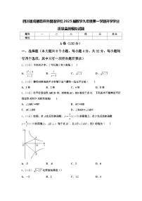 四川省成都嘉祥外国语学校2025届数学九年级第一学期开学学业质量监测模拟试题【含答案】