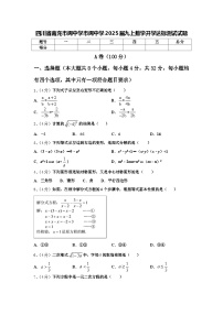 四川省南充市阆中学市阆中学2025届九上数学开学达标测试试题【含答案】