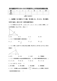 四川省雅安中学2024-2025学年数学九上开学质量检测模拟试题【含答案】