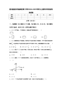 四川省宜宾市南溪区第三中学2024-2025学年九上数学开学质量检测试题【含答案】