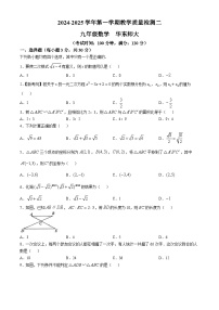 河南省开封市通许县2024-2025学年九年级上学期期中考试数学试卷(无答案)