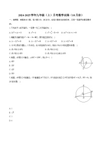 2024-2025学年苏科版九年级上册月考数学试卷 （10月份）