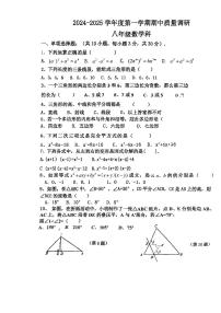 广东省江门市楼山初级中学2024-2025学年八年级上学期期中考试数学试题